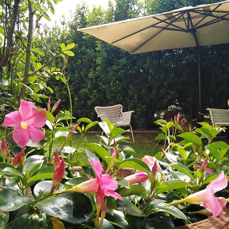 Bio B&B Vivere La Vita Polpenazze del Garda Exterior foto