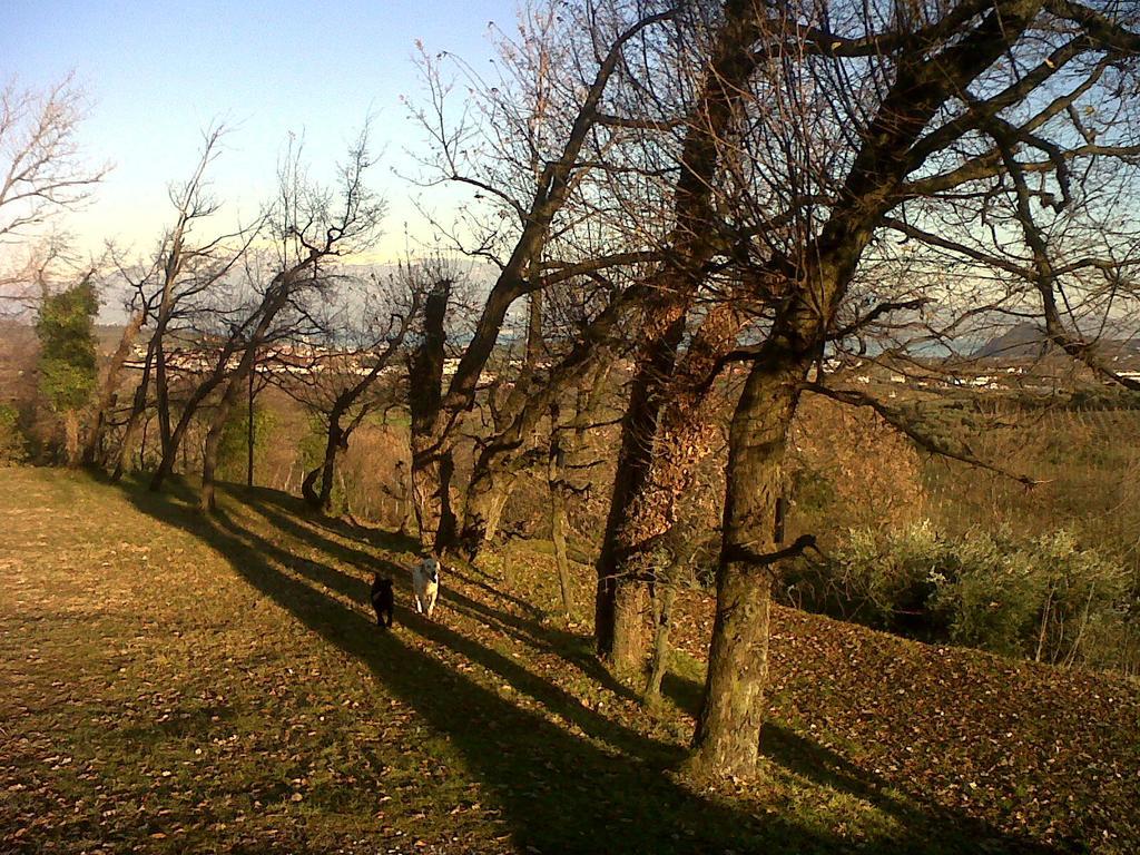 Bio B&B Vivere La Vita Polpenazze del Garda Exterior foto