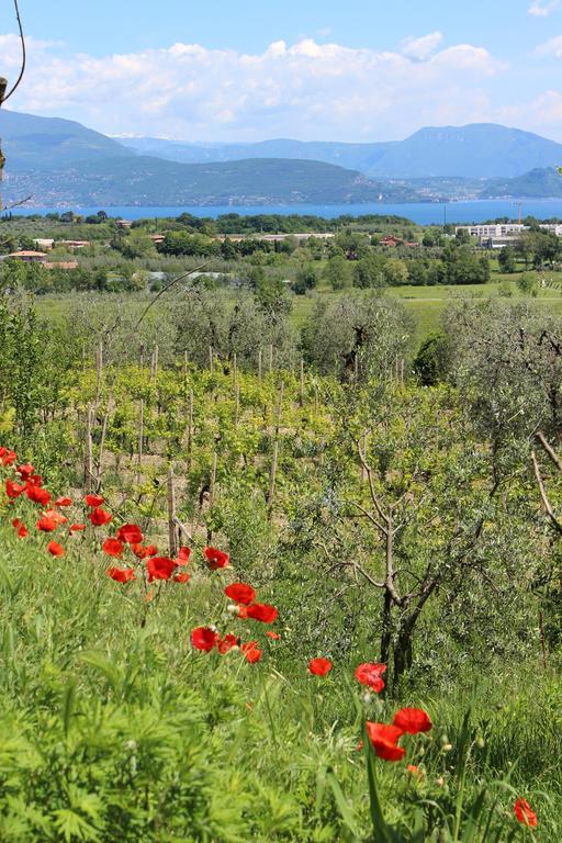 Bio B&B Vivere La Vita Polpenazze del Garda Exterior foto